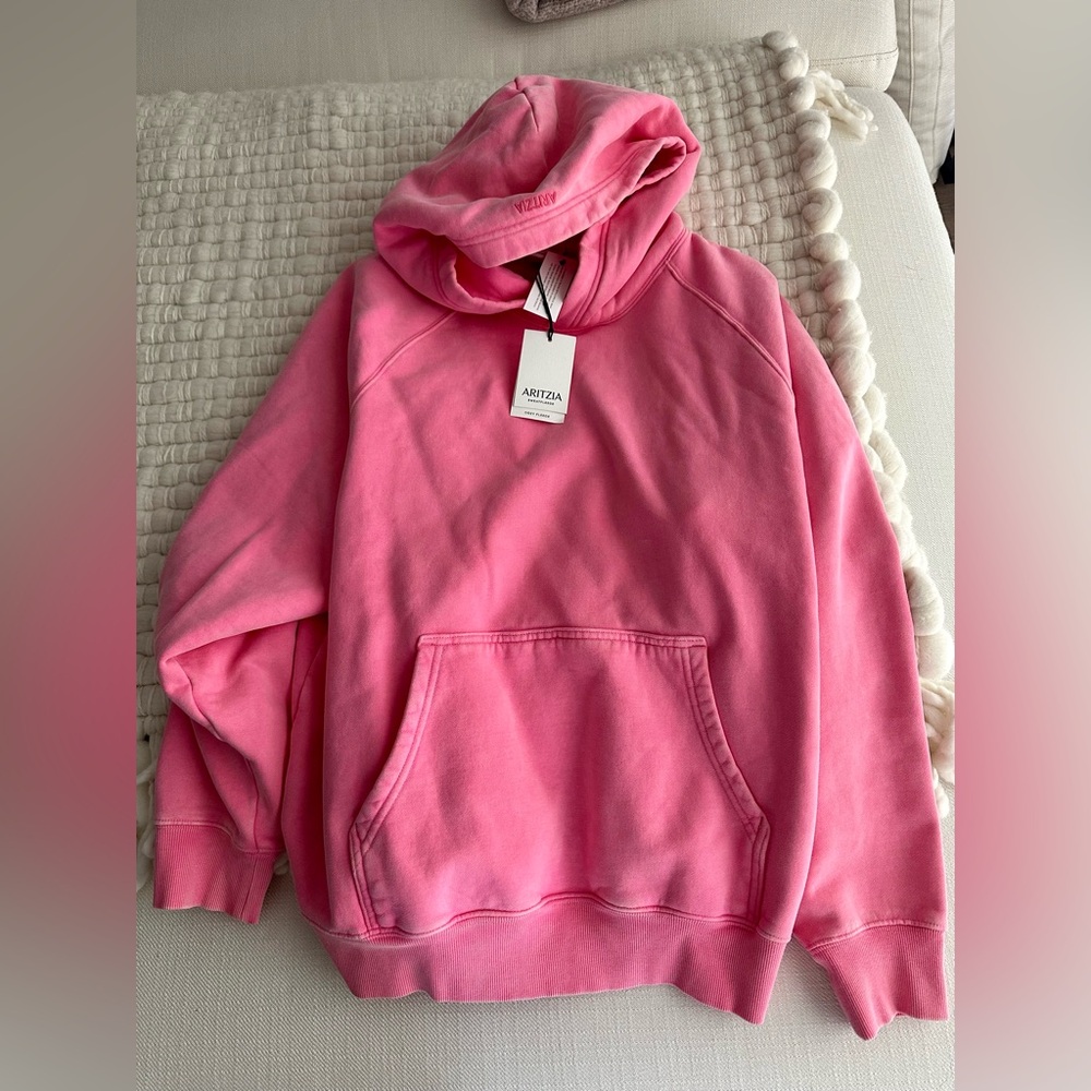 Aritzia Mega Raglan Hoodie